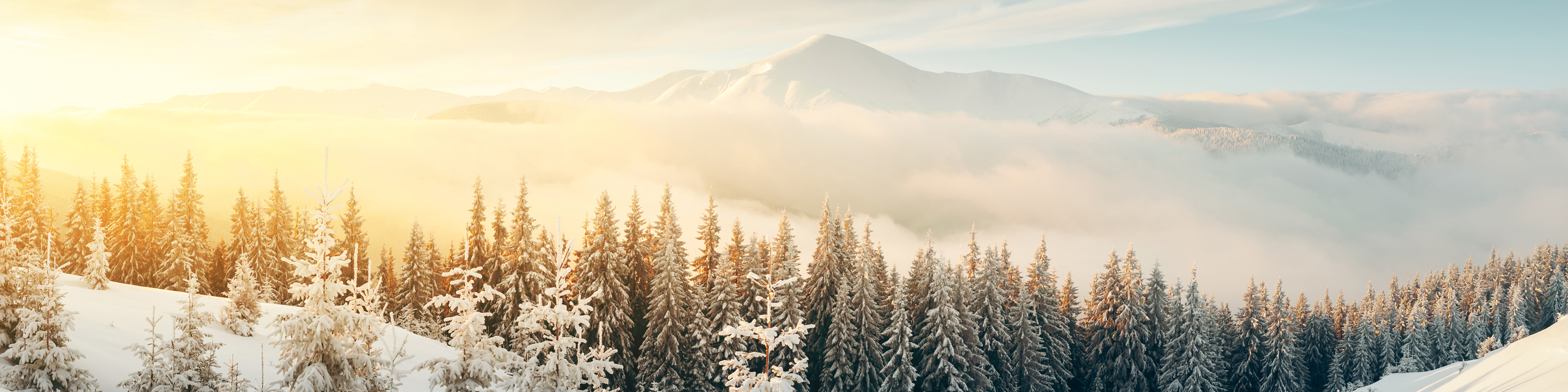 Weihnachtsaktion 2025